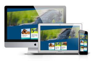 Web-Design, Homepage, SEO